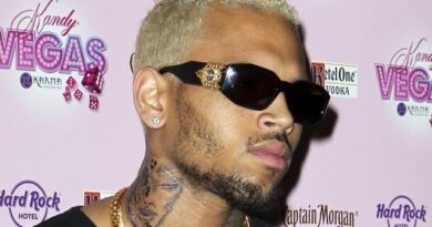 Chris Brown under investigation