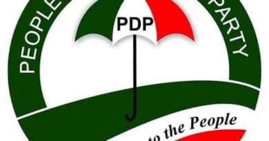 pdp debunks primary election
