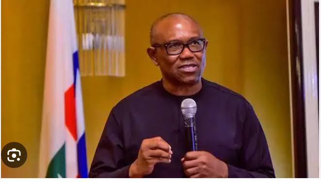 Our Current Economic Reality Demands a 60% Reduction in Total Cost of Governance – Obi