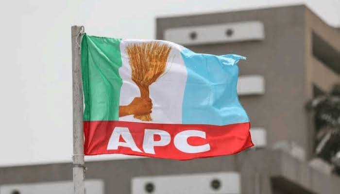 APC Urges Opposition To Stop Condemning, Profer Solution