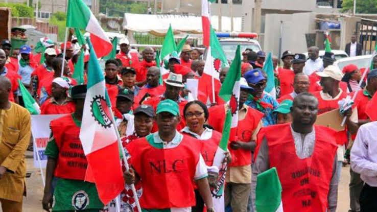 NANS Calls NLC, TUC To Suspend Planned Strike