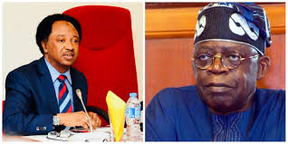 Be Careful Not To Make The Mistakes of Buhari, Sani Warns Tinubu