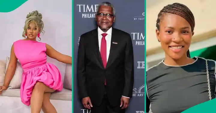 Phyna Blasts Dangote Group After Public Statement on Her Sister’s Accident