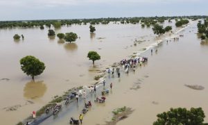 nigerian-govt-raises-alarm,-warns-of-imminent-floods-in-seven-states,-reports-contaminated-water-sources
