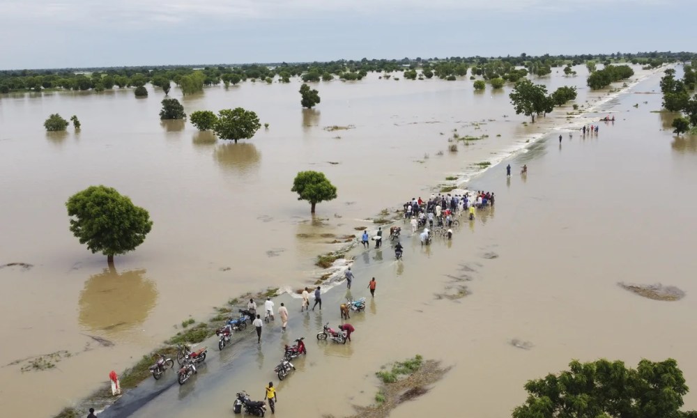 nigerian-govt-raises-alarm,-warns-of-imminent-floods-in-seven-states,-reports-contaminated-water-sources