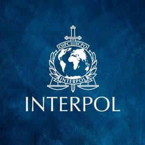 interpol-arrests-11-terror-suspects-in-nigeria,-uncovers-$562m-crypto-fraud-network