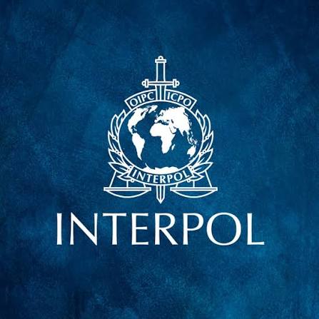 interpol-arrests-11-terror-suspects-in-nigeria,-uncovers-$562m-crypto-fraud-network