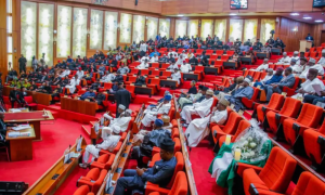 senate-put-pressure-on-fg-to-recruit-100,000-soldiers,-probes-safe-school-programme