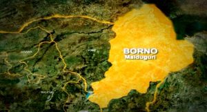 international-delegation-visits-borno-to-discuss-long-term-solutions-for-conflict-affected-communities