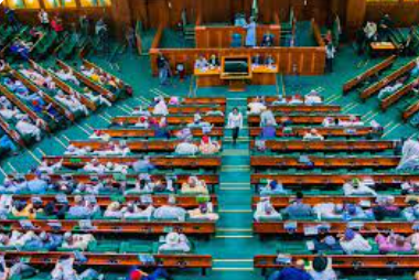 lawmakers-allege-boko-haram-members-in-army,-police-recruitment-lists