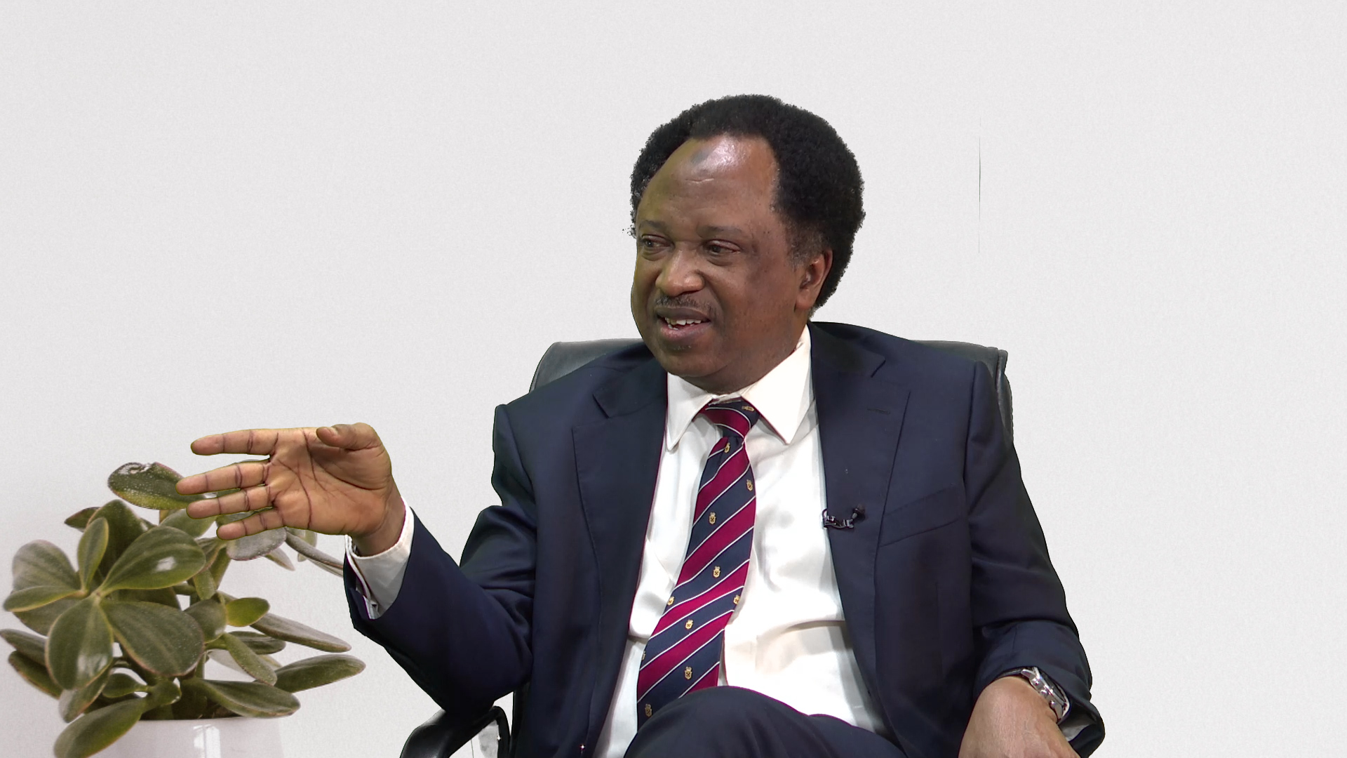 Sani’s Rejection of the Claim