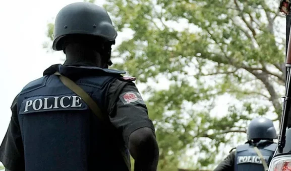 Delta Police Arrest 15 Over Horrific Ozoro Festival Assaults