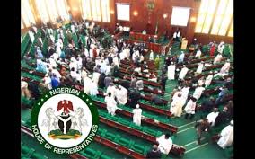 House Calls for Satellite Surveillance to Track Forest-Based Criminals