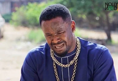 Zubby Michael Joins ADC to Contest for Nnewi Seat in 2027