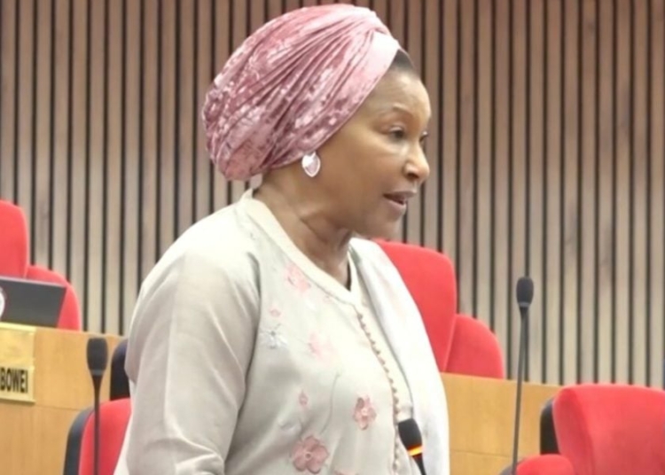 “I Can’t Be Intimidated!” — FCT Senator Ireti Kingibe Dares Wike Over Senate Loan Approvals